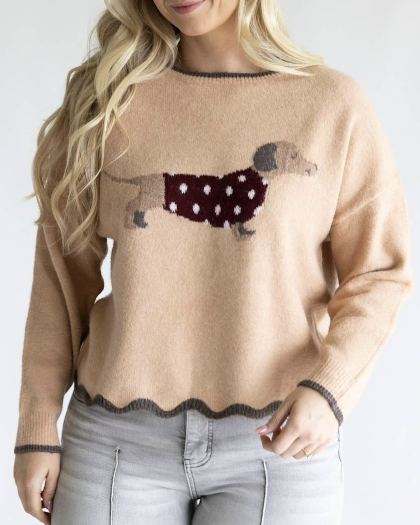 Two new women’s dachshund sweaters!

#LTKWorkwear #LTKSeasonal #LTKMidsize