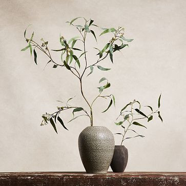 Faux Branchy Eucalyptus Branches (Set of 3) | West Elm (US)
