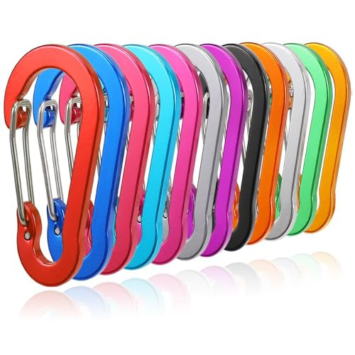 12 Pack Carabiner Clip, 2 inch D Ring Small Carabiners, Mini Keychain Snap Hook for Outdoor Camping Craebuer | Amazon (US)