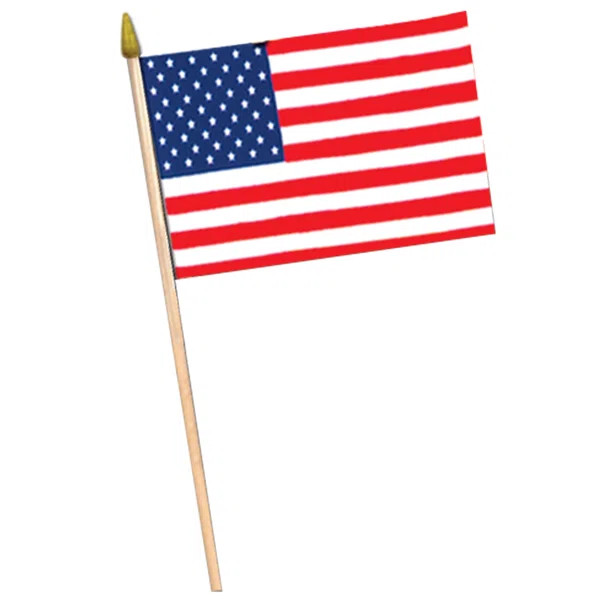 Patriotic American Flag (Set of 6) | Wayfair North America