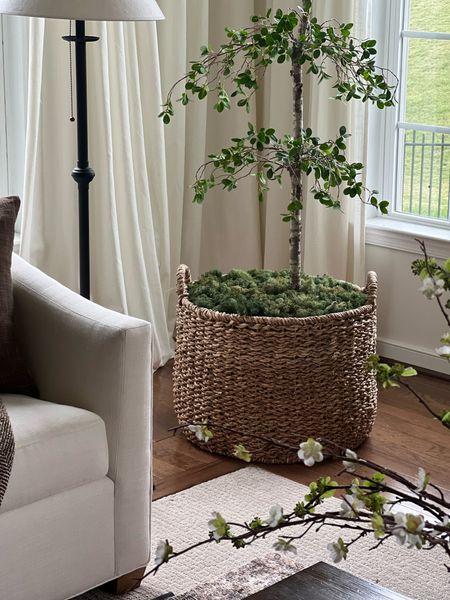 McGee & co Memorial Day sale
20-25% off

Large baskets on sale that make great containers for faux trees or plants

Studio McGee
McGee
Artificial tree
Shady lady



#LTKHome #LTKSaleAlert #LTKStyleTip