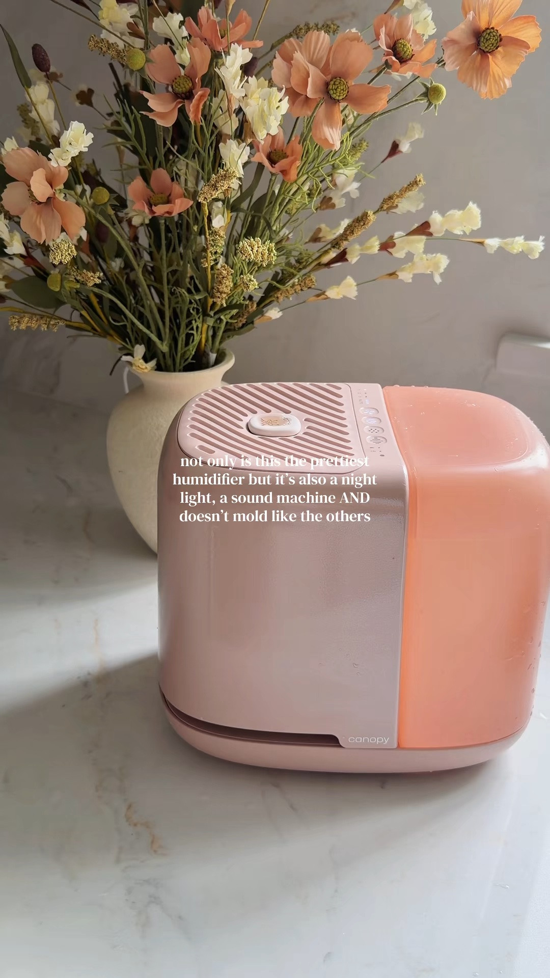 Not your average humidifier and this is the newest color!! Dusty rose canopy humidifier ✨

Canopy bedside humidifier 2.0, Dusty Rose humidifier, Canopy vanilla noir aroma, anti mold humidifier, mist free bedroom humidifier, dishwasher safe humidifier, glowing skin humidifier, aesthetic nightstand decor, bedroom aroma diffuser, dry skin winter essentials @Canopy