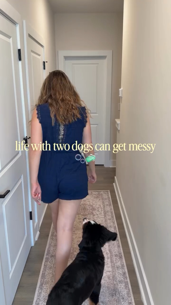 @styledwithpaws #ad 🐾 Laundry looks a little different when you have two dogs.

I put Dirty Labs to the ultimate dog mom test with some very well-loved blankets from Ash and Navi. I was curious if a scientist-made, plant-based detergent could actually handle real-life pet laundry… and I’m impressed. 🤍

A few things I learned:
✨ Only 2 teaspoons per load
✨ Bio enzymes help tackle the messy stuff
✨ No microplastics from dissolvable pod films
✨ Recyclable aluminum packaging

Now excuse us while we enjoy approximately 12 minutes of clean blankets before they’re covered in dog hair again. 😂

@dirty_labs

#DirtyLabs #DogMom #PetLaundry #CleanTok LaundryTok BerneseMountainDog