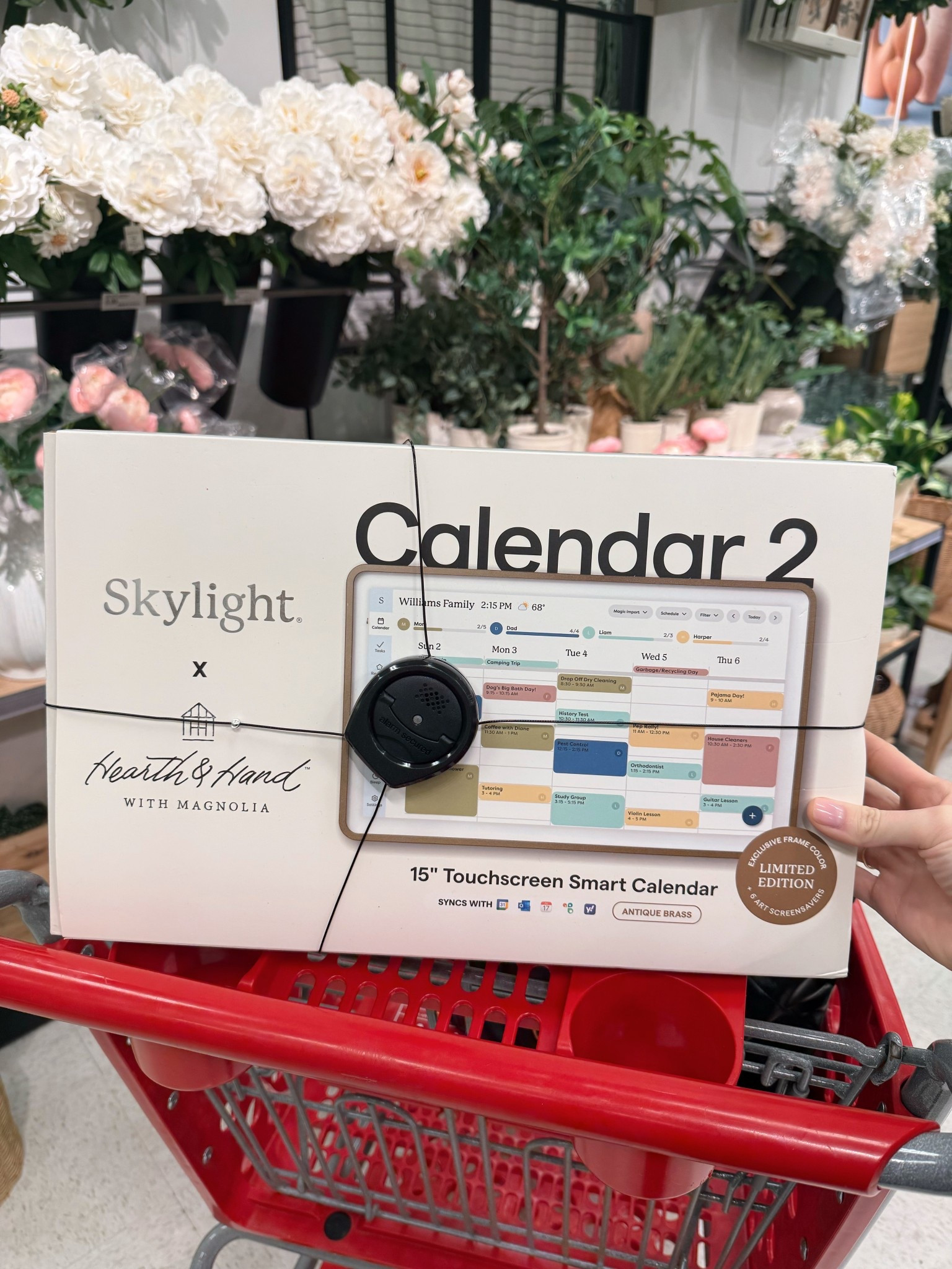 Skylight x Hearth & Hand 

#LTKHome #LTKmomlife #LTKKids