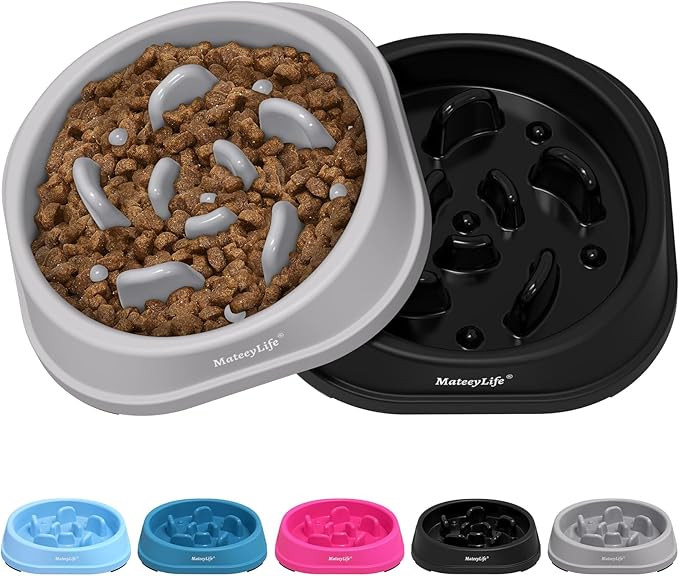 MateeyLife Small Slow Feeder Cat Bowls 2PCS, Anti-Choking Puzzle Cat Food Bowls, Anti-Slip Intera... | Amazon (US)