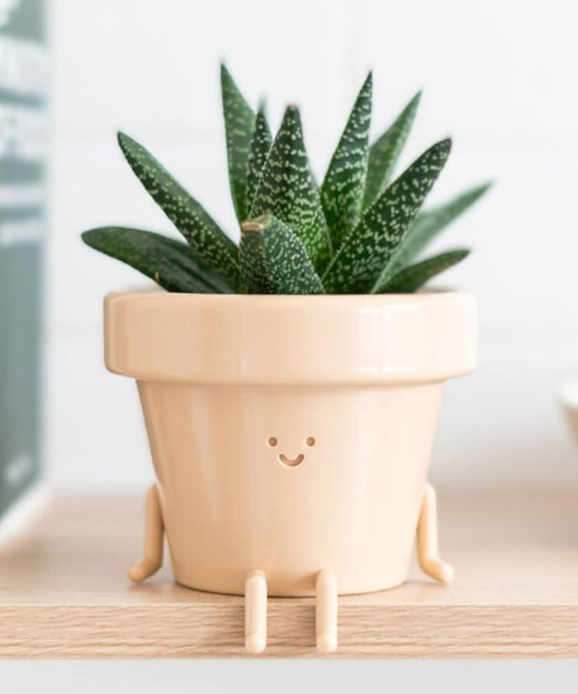 Indoor Plant Pot, Unique Cute Plastic Flower Pot with Face, 3.5 Inch Succulent/Cactus Planter, Pl... | Amazon (US)