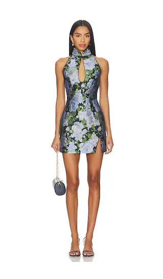 Eva Dress in Blue Multi | Revolve Clothing (Global)