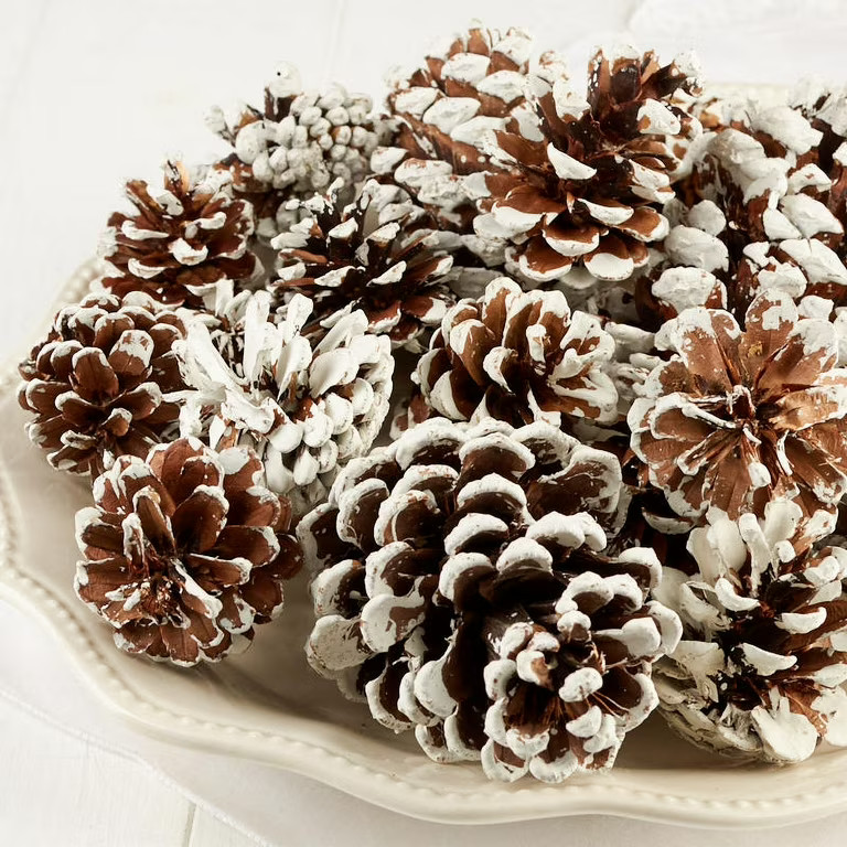 Frosted Natural Pinecones - Set of 12 - Perfect for Christmas Holiday Décor, Crafts, and DIY Pro... | Walmart (US)