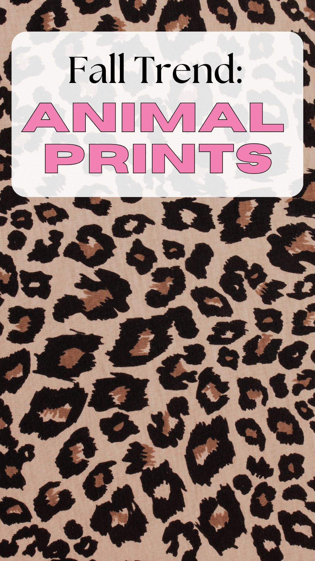 Some things that are perfect for the Animal Print Jacket trend for fall 2026 

 #LTKSeasonal #LTKOver40 #LTKMidsize