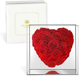 Valentines Day Gifts for Her,Birthday Gifts for Women,24 PCS Preserved Rose Flower Gifts for Mom ... | Amazon (US)