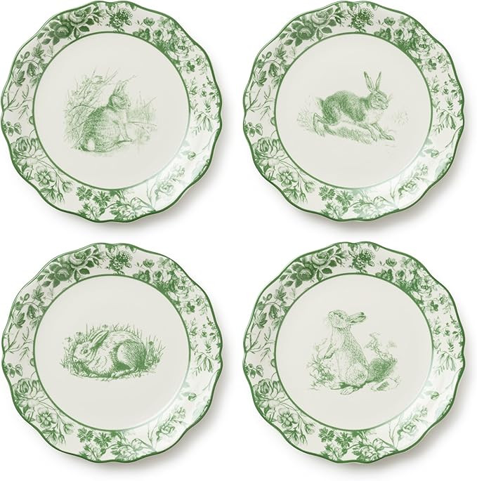 Le Jardin 8.5 Inch SALAD/DESSERT PLATES, SET OF 4 – Whimsical Bunny & Bloom Design for Appetize... | Amazon (US)