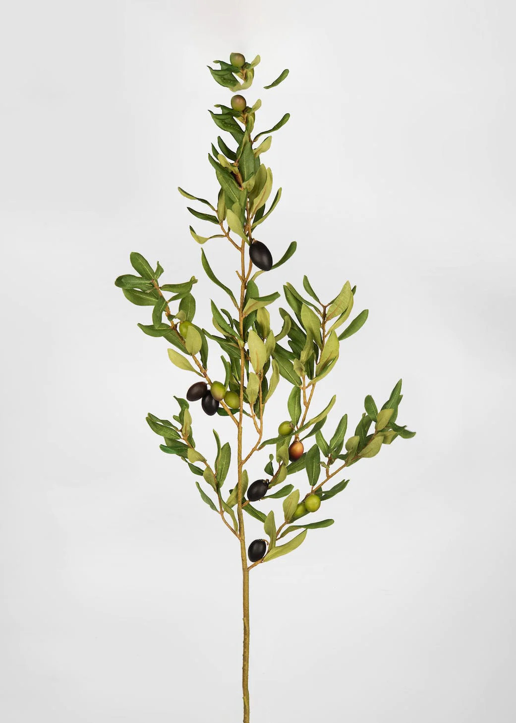 Artificial Olive Leaf Branch - 46" | Afloral