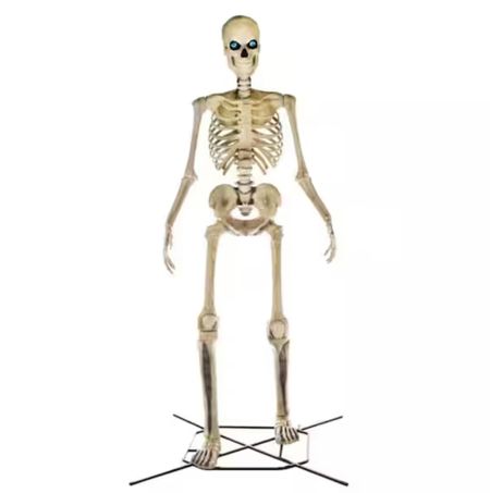 This just released online right now! It sold out so fast last year. 12 ft skeleton for your outdoor Halloween decor. Hottest Halloween last year #halloween 

#LTKSeasonal #LTKhome #LTKFind