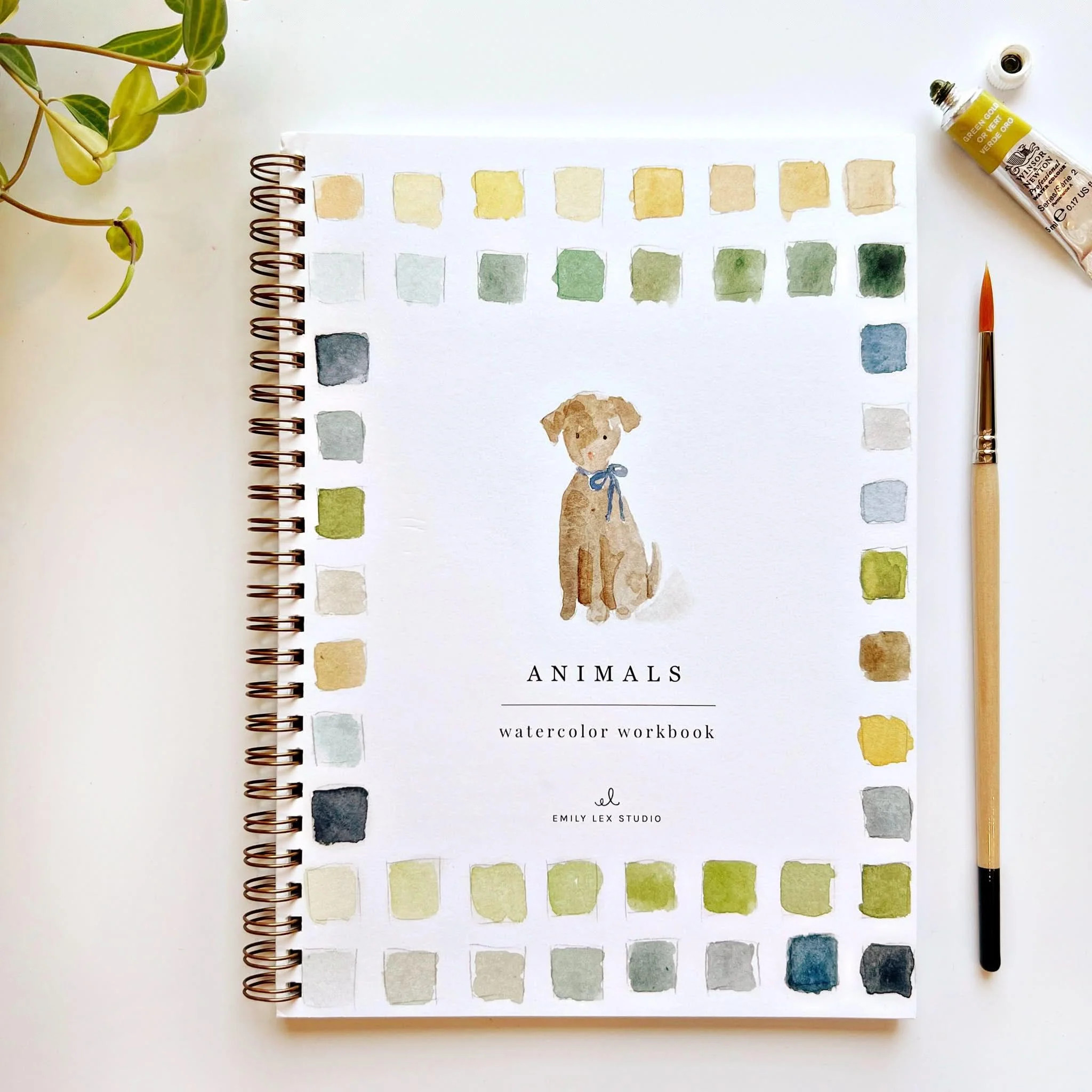 animals watercolor workbook | Emily Lex Studio