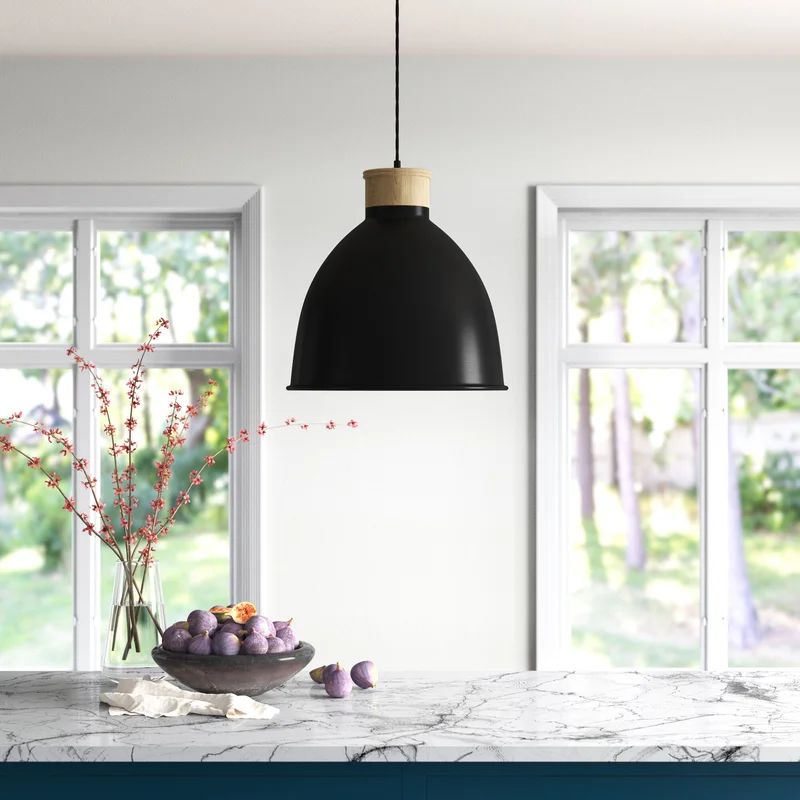 Anzalone 1 - Light Single Dome Pendant with Wood Accents | Wayfair North America