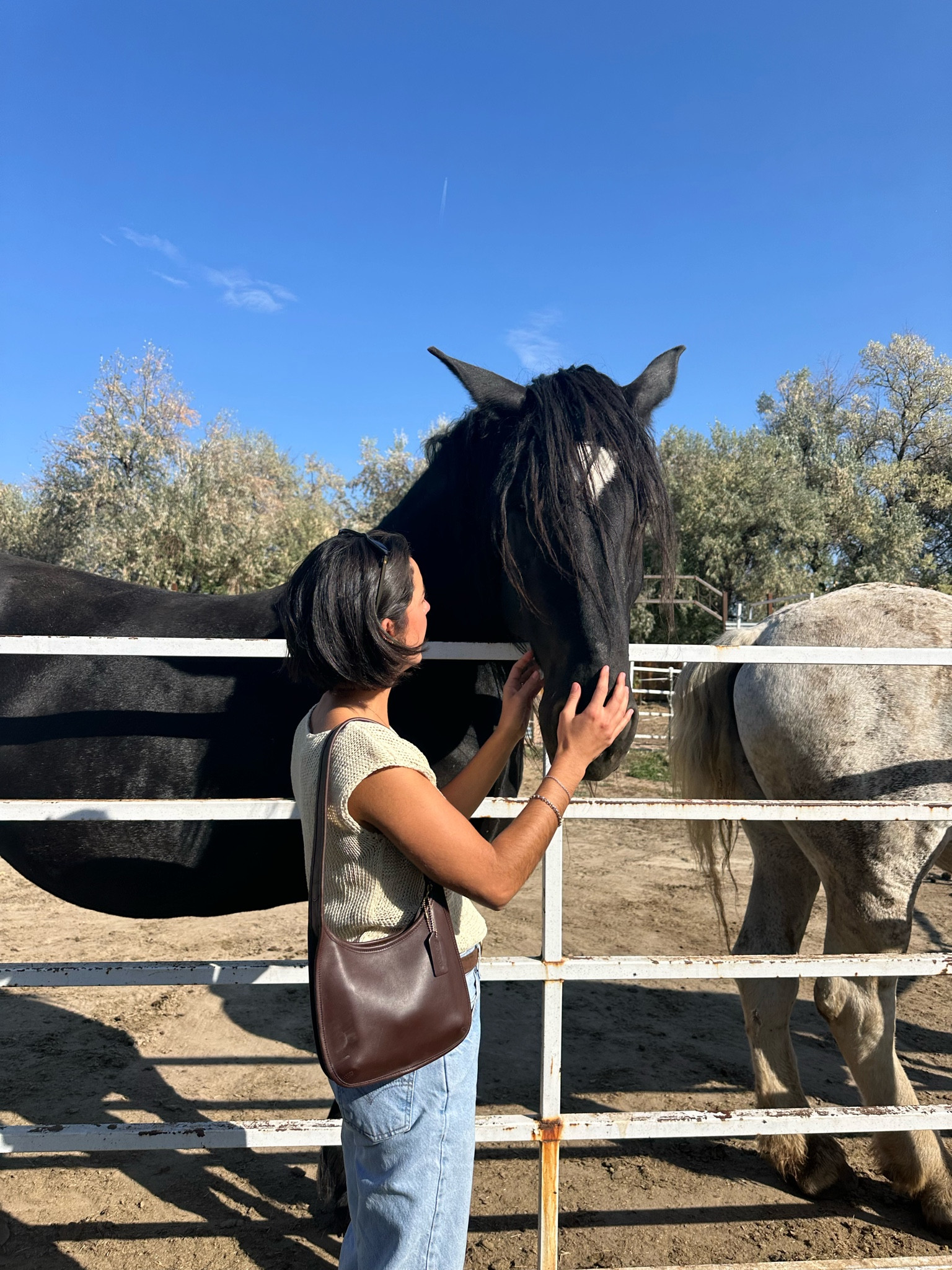 I love a coach bag! This one I thrifted 

#LTKHoliday #LTKGiftGuide