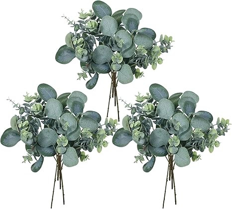 12 Pcs Mixed Eucalyptus Leaves Stems Artificial Silver Dollar Eucalyptus Leaves Picks Faux Eucaly... | Amazon (US)