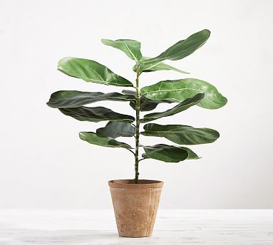 Faux Potted Fiddle Leaf Houseplant | Pottery Barn (US)