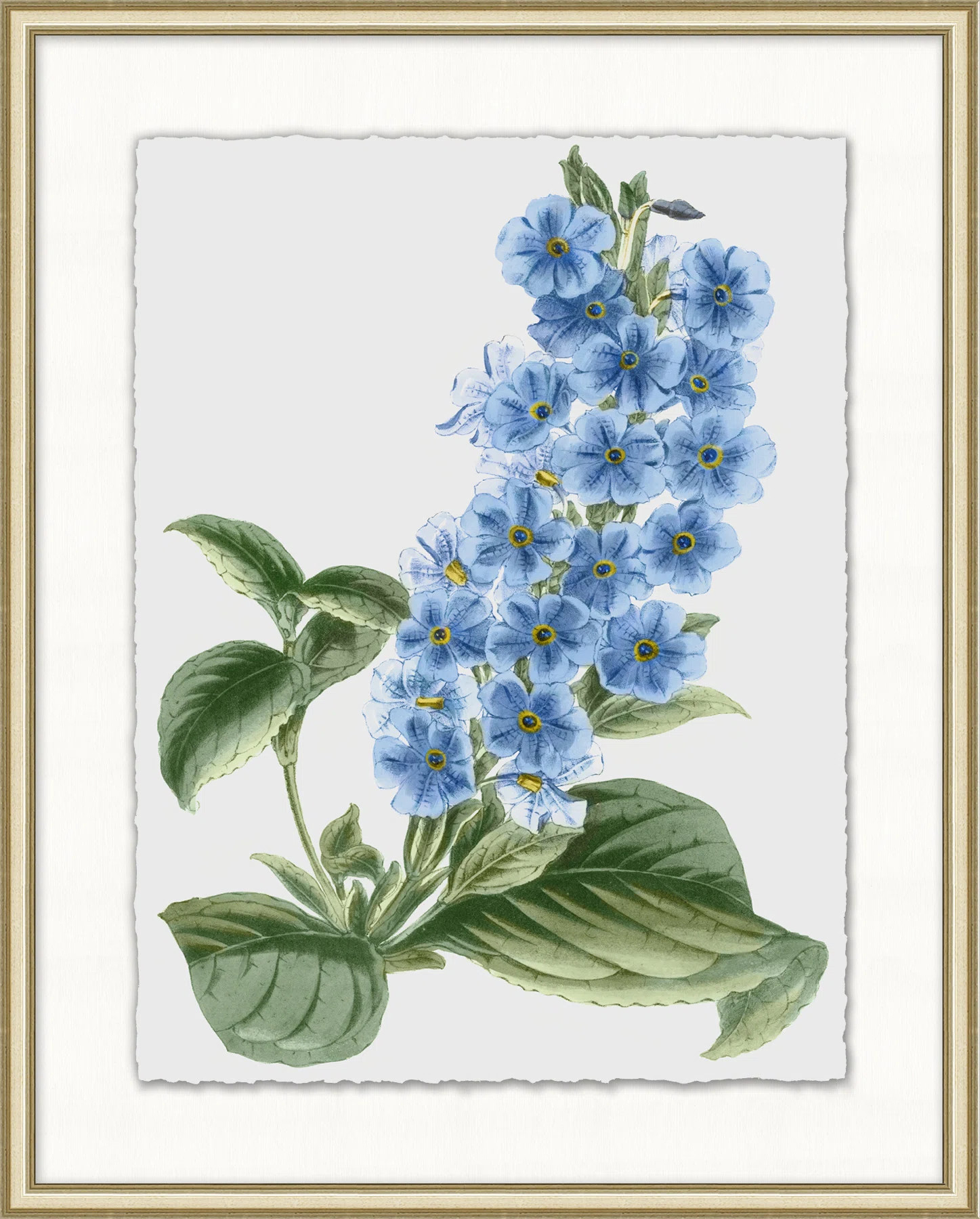 Floral Study 4 Print | Perigold