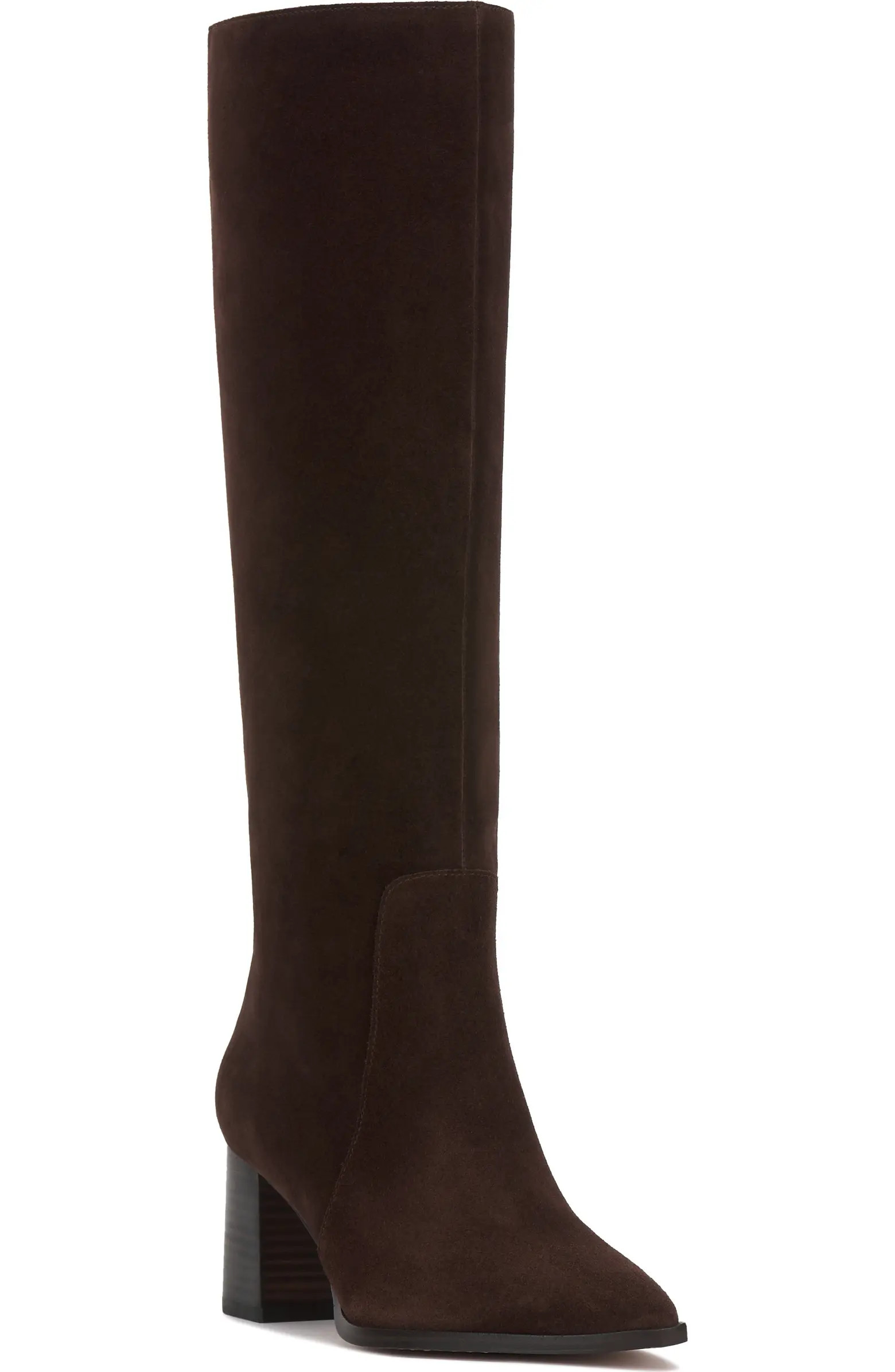 Lumina Pointed Toe Boot (Women) | Nordstrom