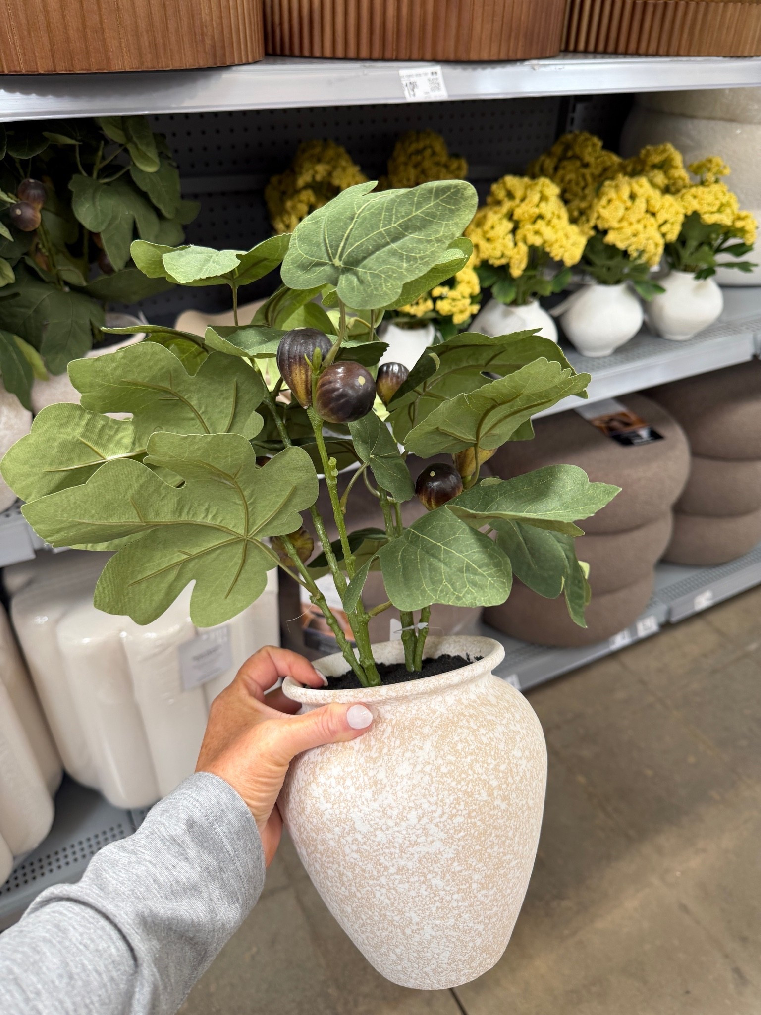 Affordable faux greenery that looks way more high-end than it should 👏🌿 

Walmart seriously has the best potted finds lately and these are perfect for entryways, shelves, and empty corners without the maintenance. ✨

#LTKSeasonal #LTKHome #LTKSaleAlert