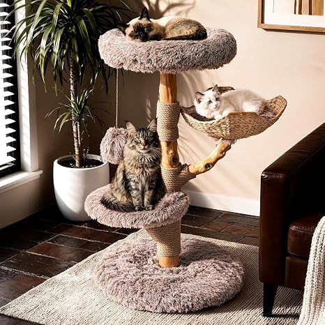 Sopapets Solid Wood Cat Tree for Large Cats, 41.3" Modern Cat Tower with Heavy Duty Real Branch &... | Amazon (US)
