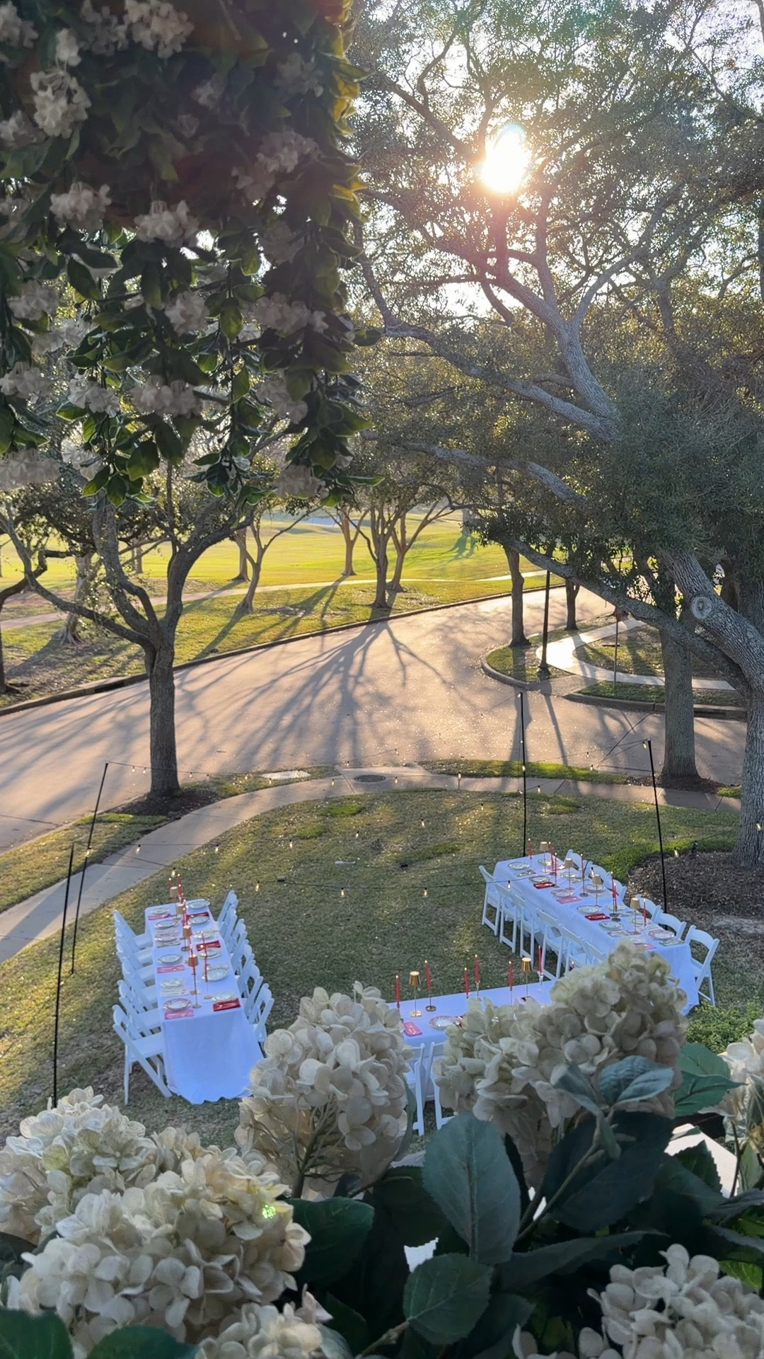 Backyard party garden light 

#LTKHome #LTKdayinmylife #LTKfoodie