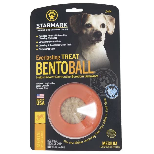 Starmark Everlasting Treat Bento Ball Tough Dog Chew Toy | Chewy.com