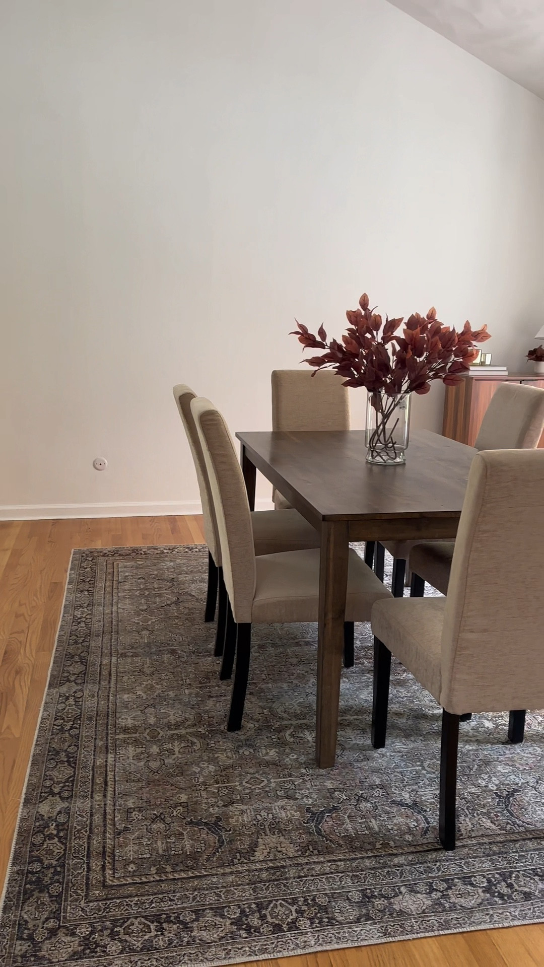 Dining room decor

Dining room chairs, dining room rug, loloi rugs, wayfair, amazon, amazon home, target, affordable finds, table lamp, fall candles, coffee bar

#LTKSeasonal #LTKhome #LTKfindsunder50