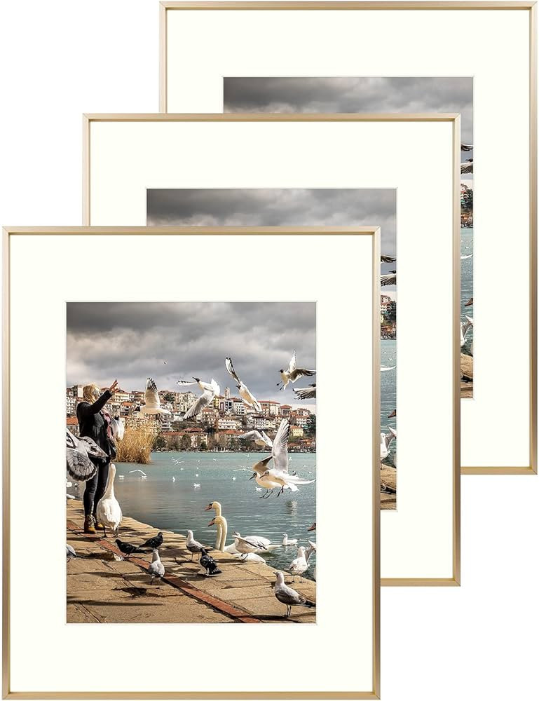 Space Art Deco, 16x20 Picture Frame Set of 3, Display Pictures 11x14 with Mat or 16x20 without Ma... | Amazon (CA)