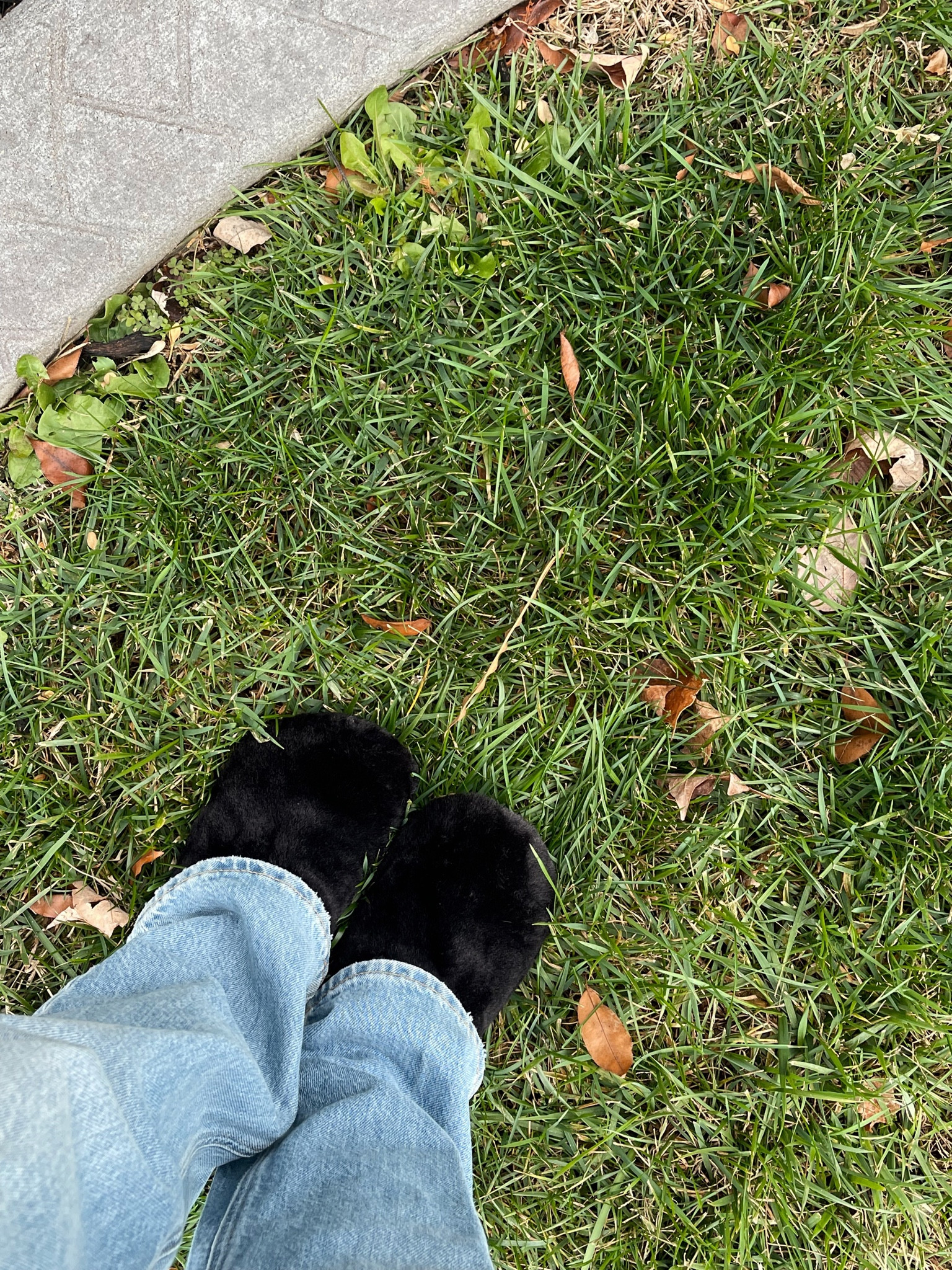 If you’re a crocs girly like me, u need these all-over fuzzy crocs. Comfiest things my feet have ever worn🤤

#LTKCyberweek #LTKsalealert #LTKunder50