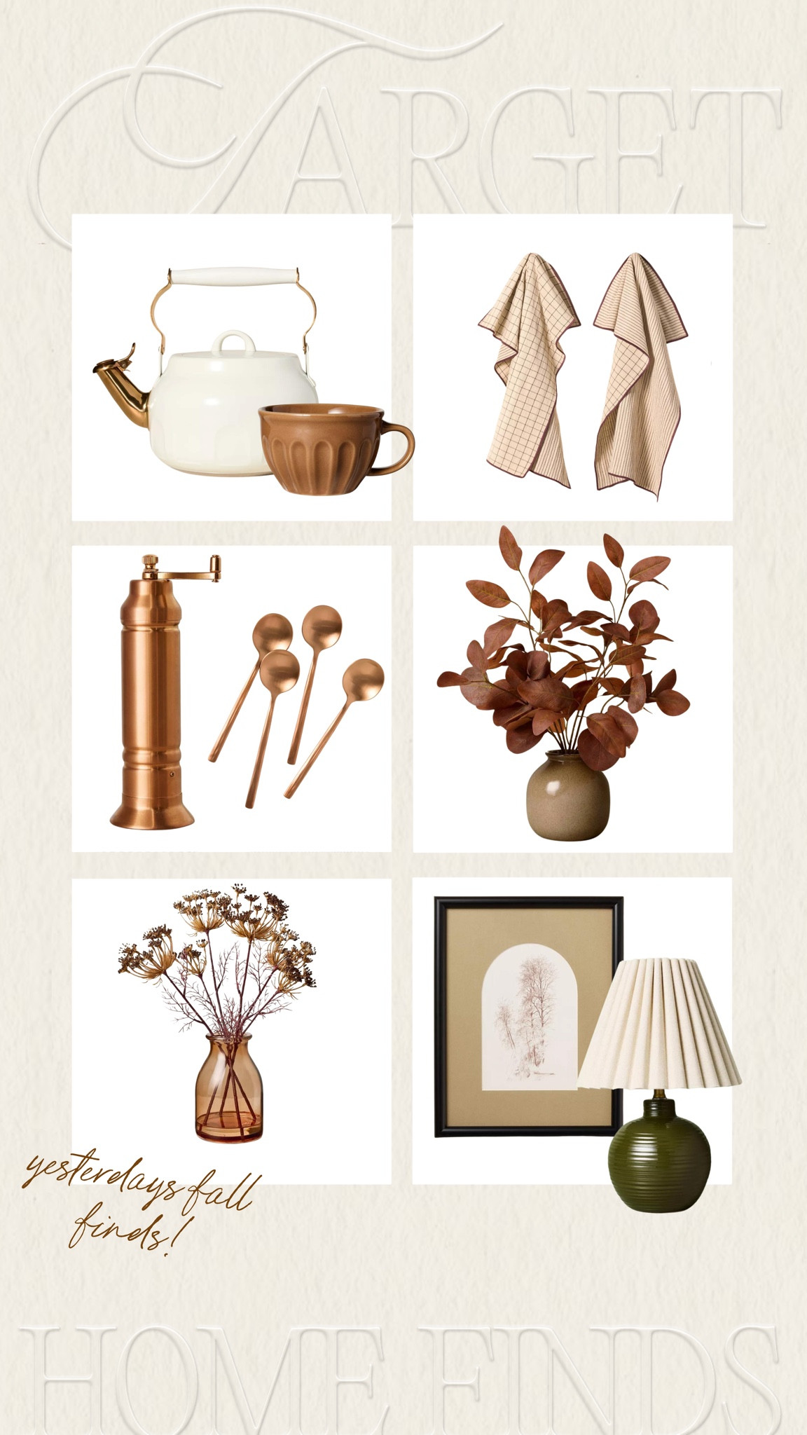 Yesterday’s target new fall arrivals that I got!!! 🍂🤎 a little early but makes me so excited for fall ahh!! #fall #home #target 

#LTKSeasonal #LTKHome #LTKStyleTip