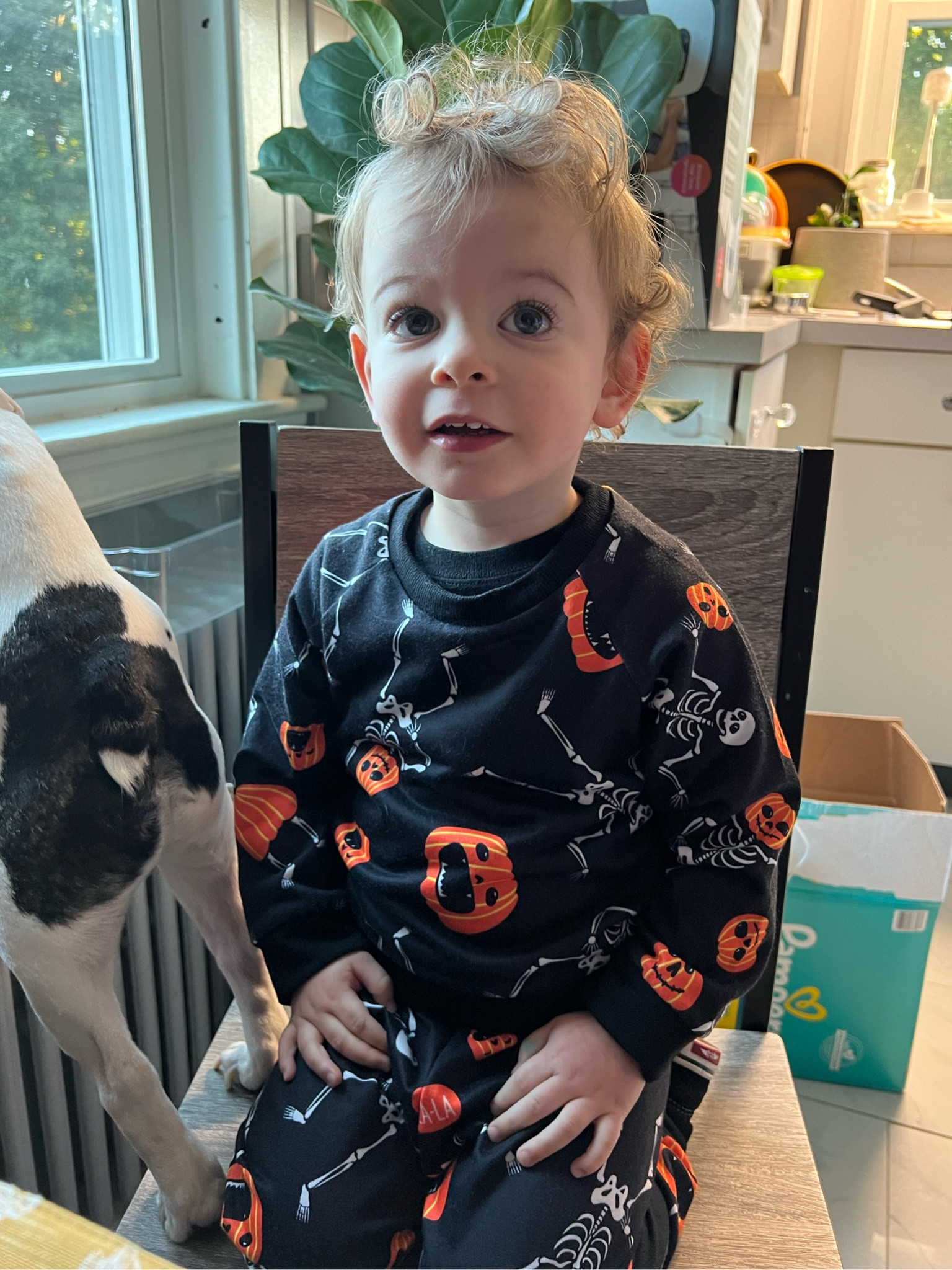 How cute is this kid in his Halloween outfit?!🎃💀

#LTKKids #LTKBaby #LTKHalloween