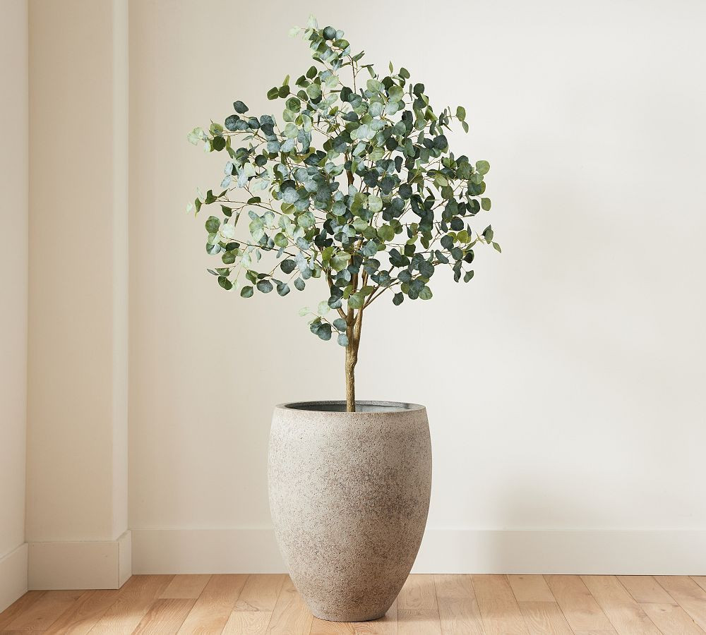 Faux Silver Dollar Eucalyptus Tree 7' with XL Sedona Stone Planter | Pottery Barn (US)
