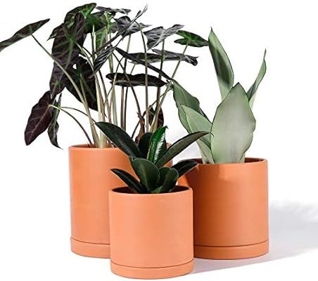 POTEY Terracotta Planter Pots with Drainage Hole and Saucer - 6 Inch & 5 Inch & 4 Inch Indoor Cyl... | Amazon (US)