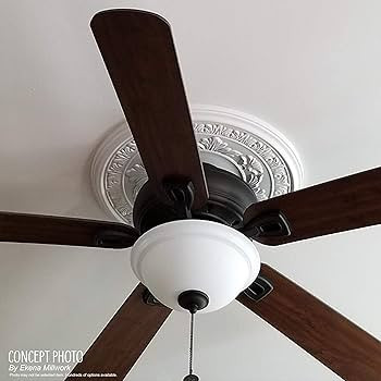 Ekena Millwork CMP22AT Attica Ceiling Medallion, 22"OD, Unfinished | Amazon (US)