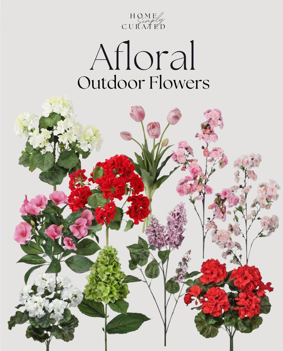 Afloral outdoor flowers under $50! 


Afloral, flower stems, under $50, outdoor flowers, florals

#LTKSeasonal #LTKHome