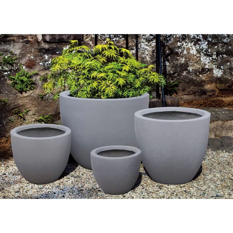 Gray Cement Modern Round Concrete Pot Planter | Wayfair North America