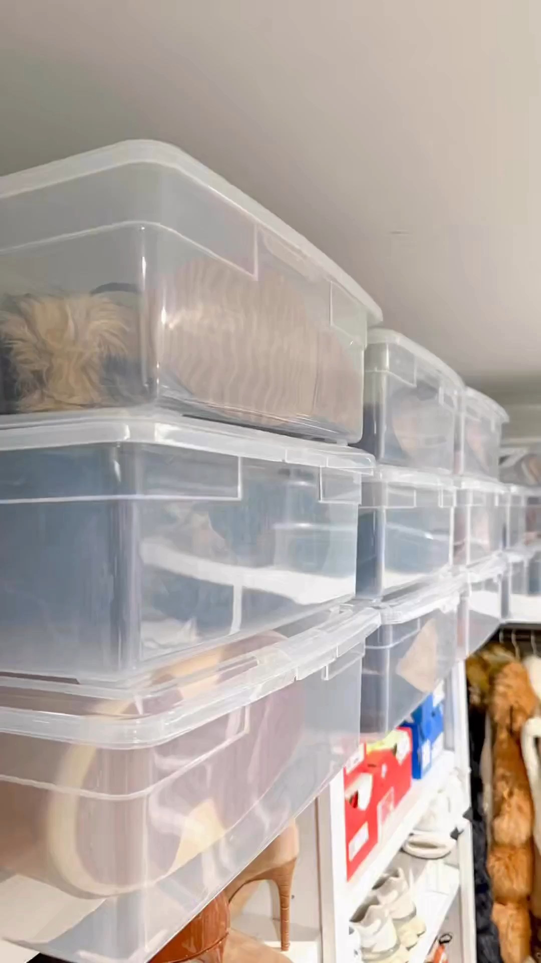 Home organization hack

• tall boots, boot bin, container store, closet organization

#LTKdayinmylife #LTKHome #LTKootd
