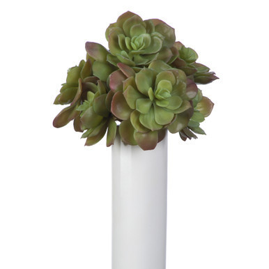 Faux Echeveria Succulent - Set of 3 | Z Gallerie