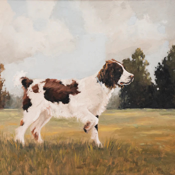 Springer Spaniel | Society6