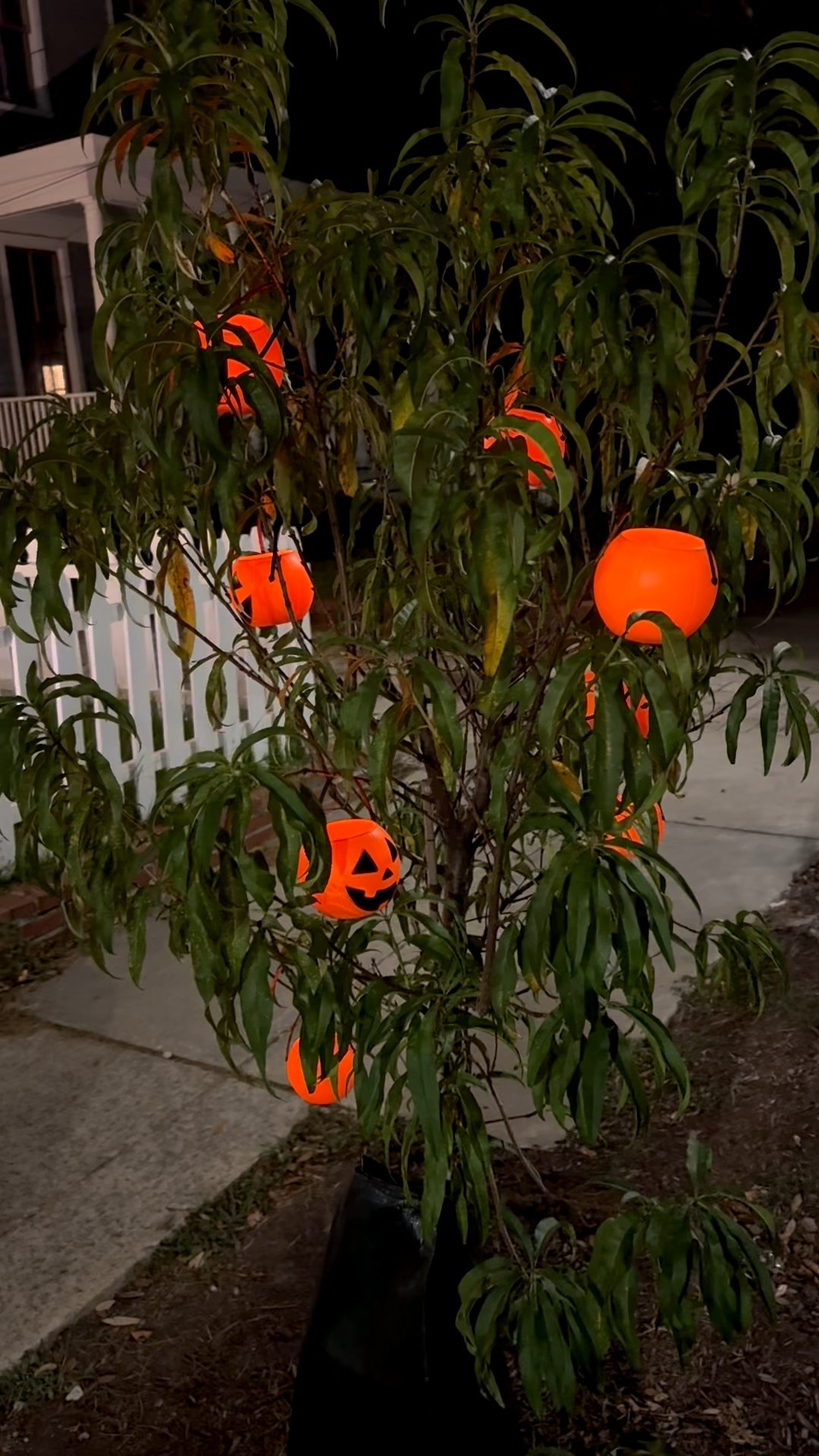Simple and low cost Halloween decor!

#LTKSeasonal #LTKHome #LTKHalloween