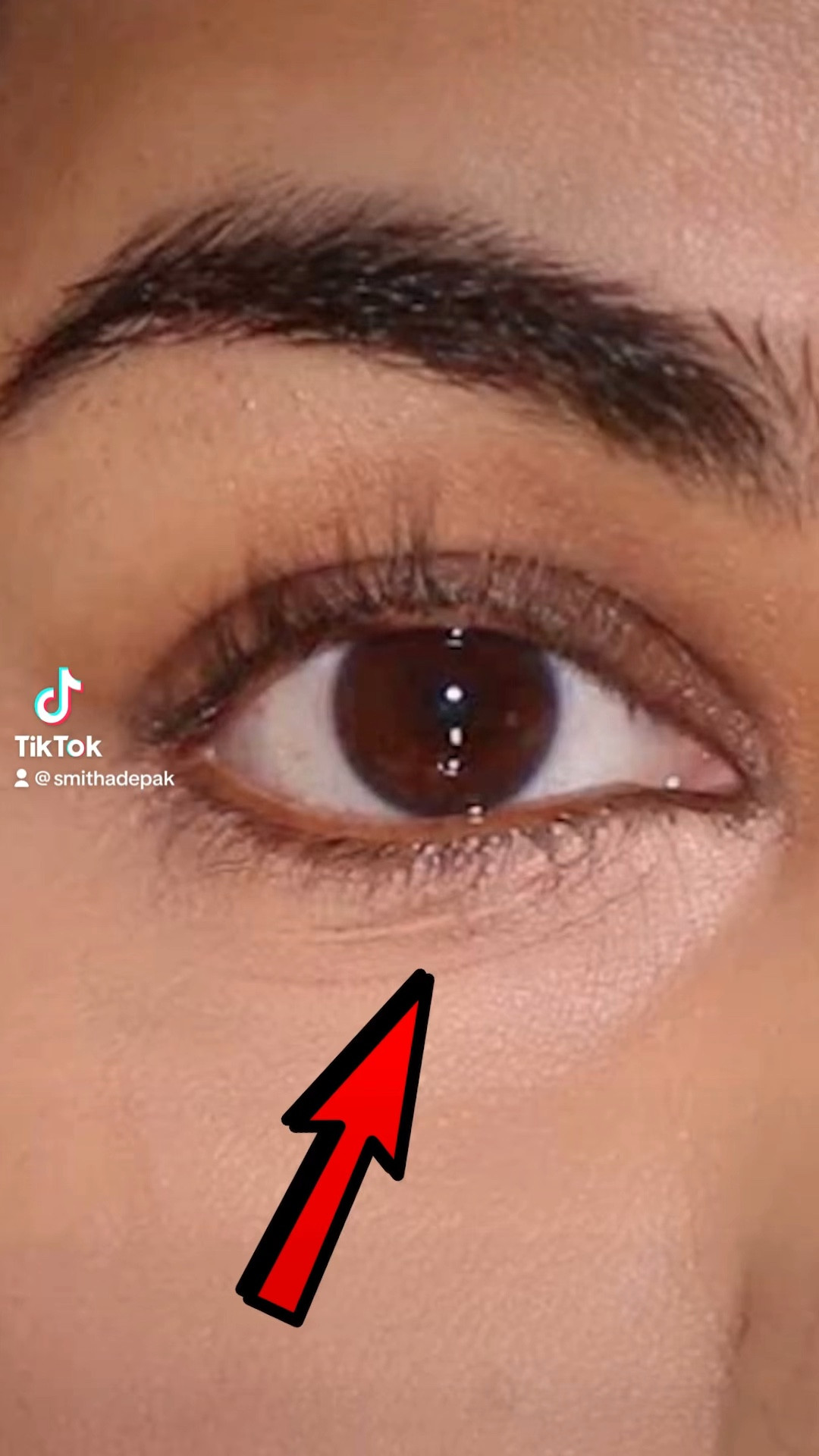 This concealer trick is so simple but so effective to make your creases disappear and give you a smooth crease free under eye especially if you have fine lines.
❤️Deets:
Urban Decay Eyeshadow Primer Potion
Milani Concealer 145

#LTKstyletip #LTKwedding #LTKbeauty