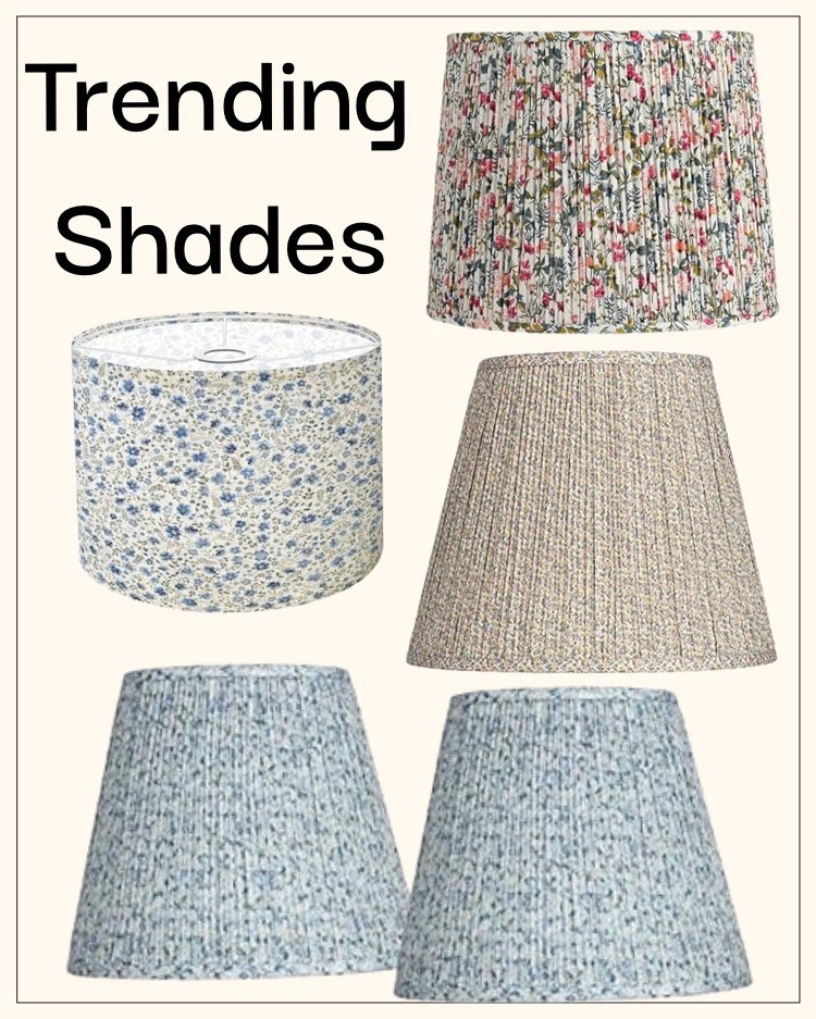 Give your home a fresh update with these trending floral lamp shades! From charming ditsy prints to classic pleats, these stylish accents instantly brighten any space. Shop now on Amazon for a quick and easy décor refresh.

#LTKSaleAlert #LTKStyleTip #LTKHome