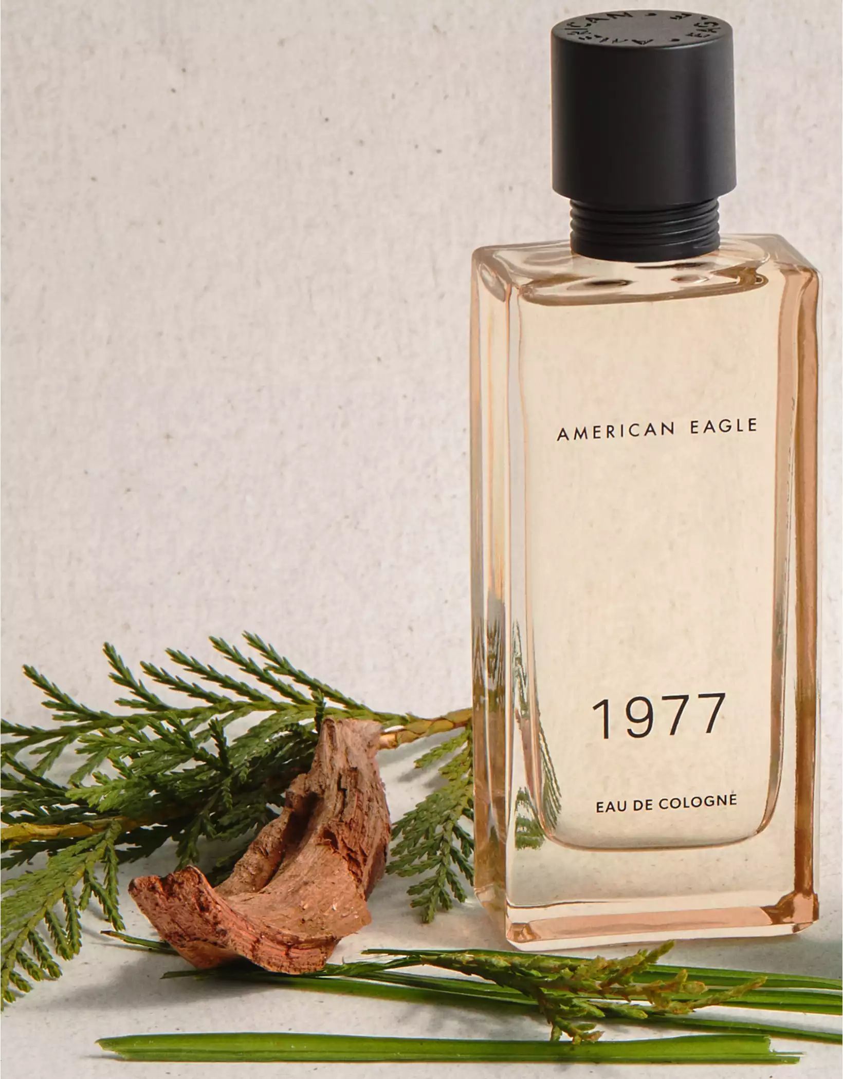 AEO 1977 1.7oz Eau de Cologne | American Eagle Outfitters (US & CA)