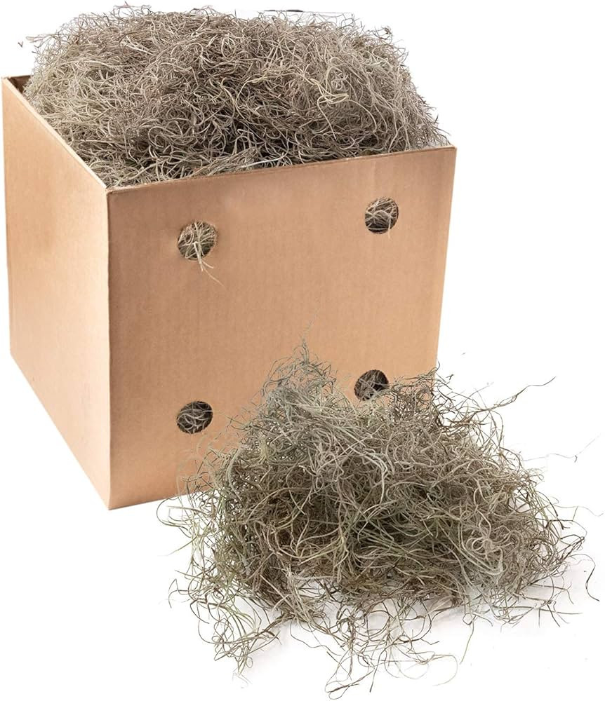 Royal Imports Preserved Natural Spanish Moss, Fresh Dried Shredded Loose Chunks, 3 LB Bulk Case | Amazon (US)