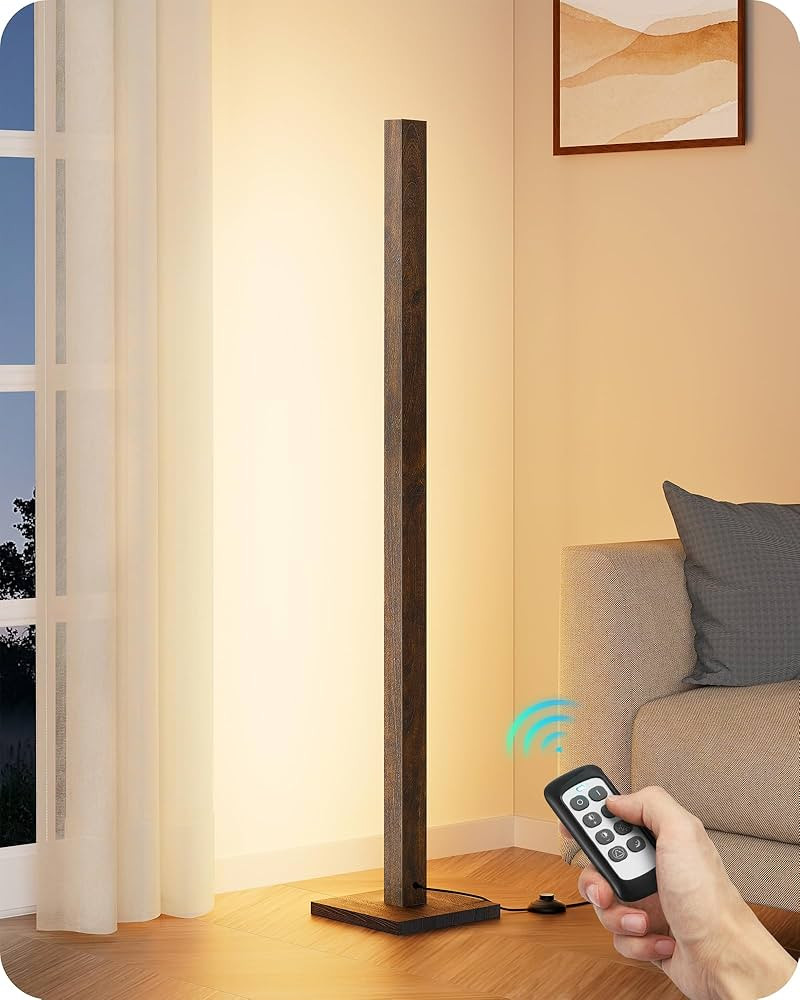 EDISHINE Corner Floor Lamp Floor Lamps | Amazon (US)