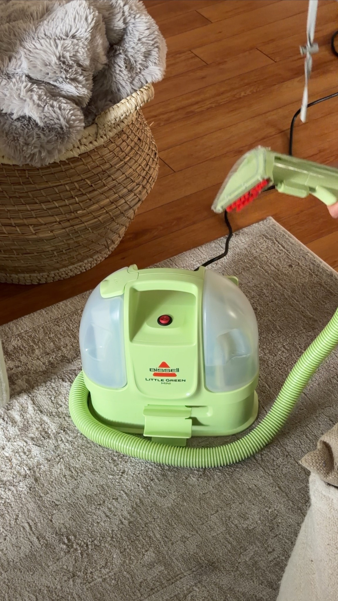the famous Little Green Machine! Catch me cleaning anything & everything 

#LTKdayinmylife #LTKHome