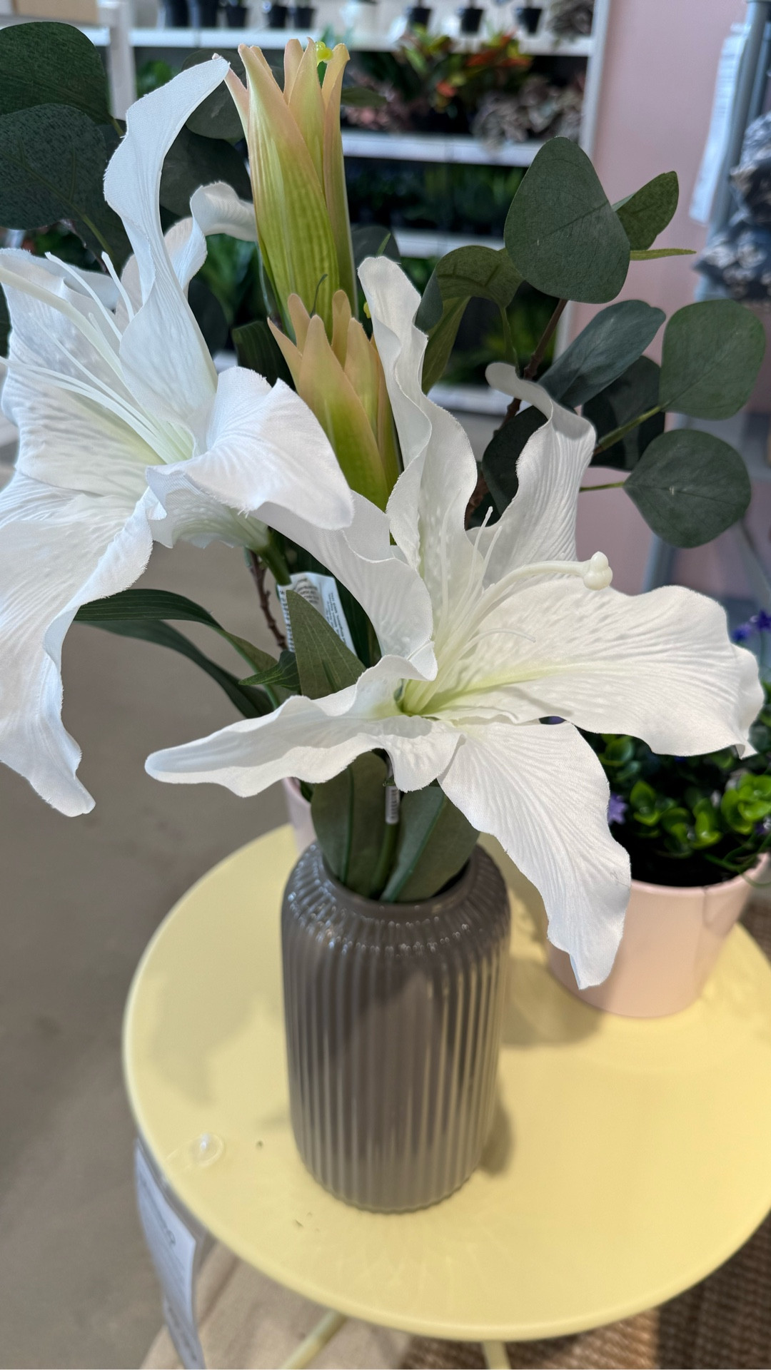 Pretty Sunday #spring finds🤍🤍🩷🩷💚

#ikea 

#LTKSeasonal #LTKHome