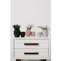 Large Geometric Skull Planter, Concrete Skull, Air Plant Vase, Succulent Pencil Holder, Makeup Brush | Etsy (US)